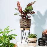 NOMAD PLANTER WITH WIRE STAND